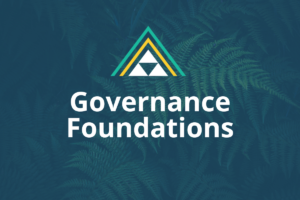 3.1 Governance Foundations